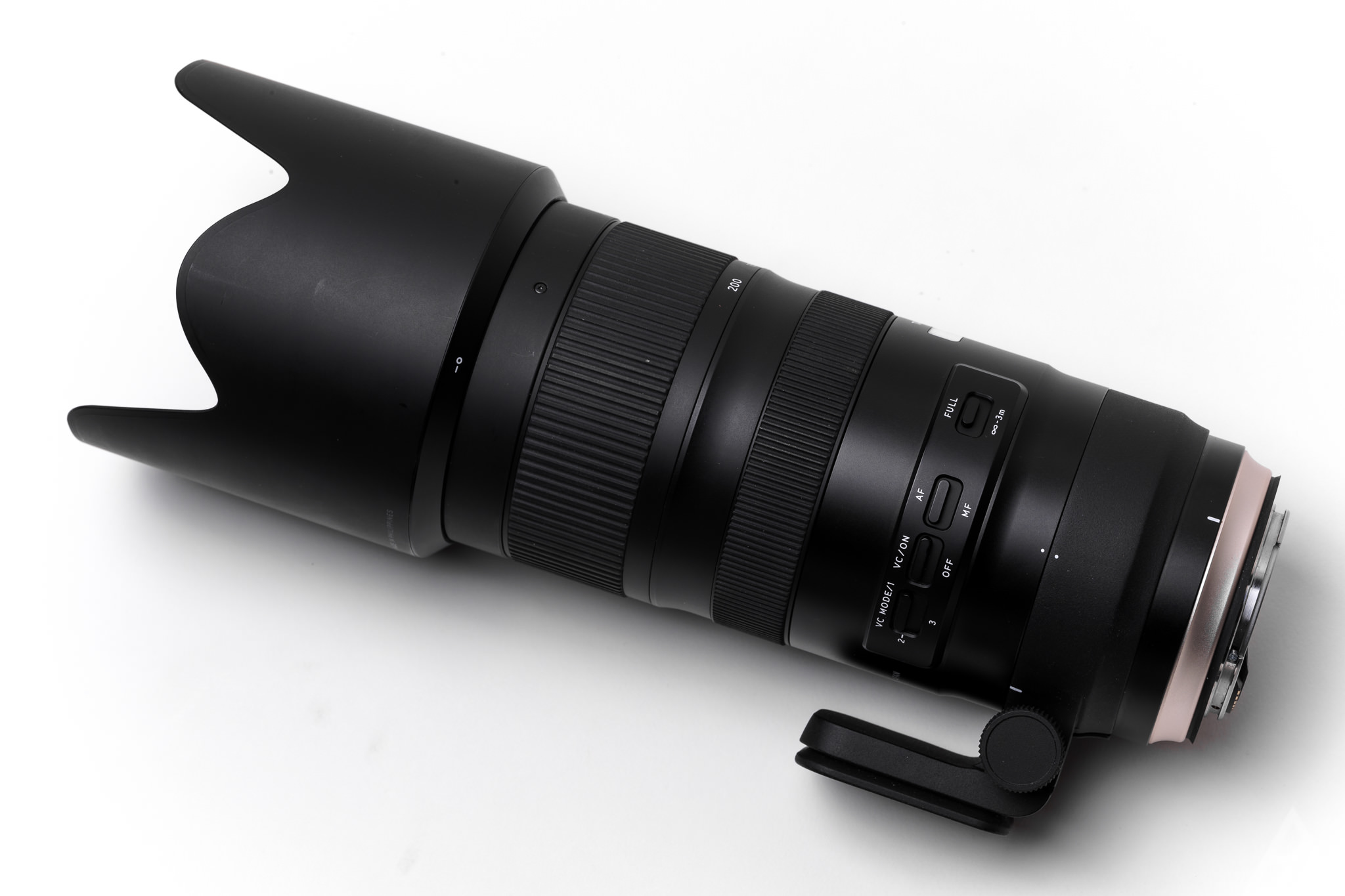 Tamron 70-200mm f/2.8 G2 Review | A Giant Killer - The Brotographer