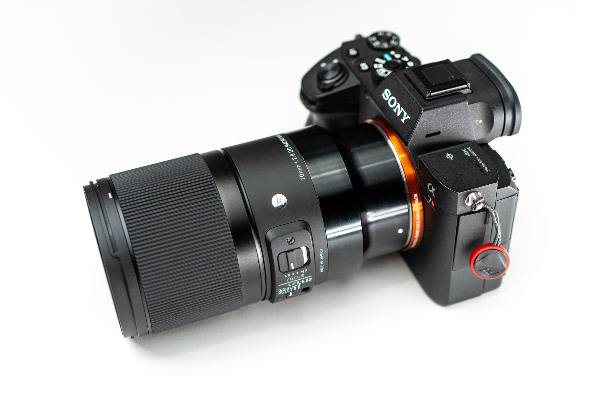 70mm F/2.8 Sigma Macro For Sony E Review - The Brotographer