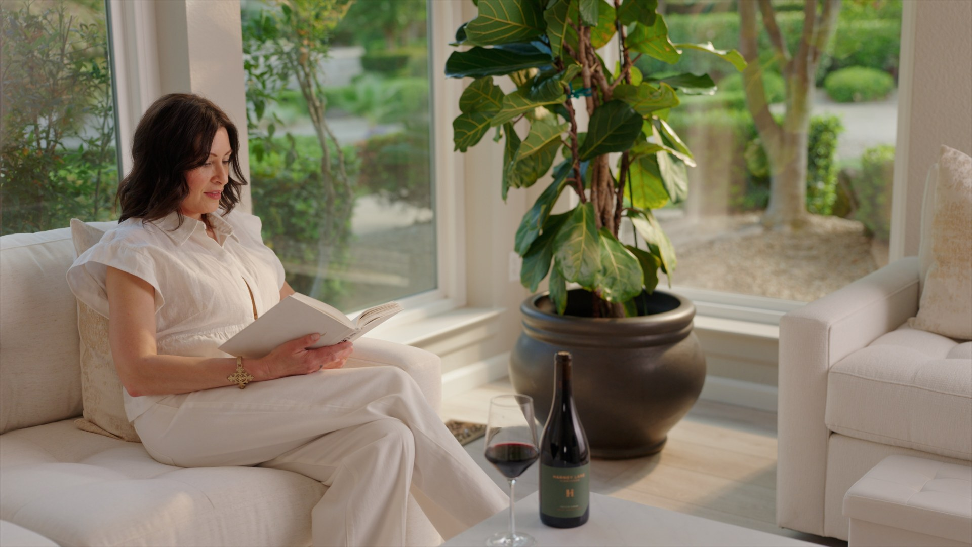 Finished video frame from the Harney Lane website film.