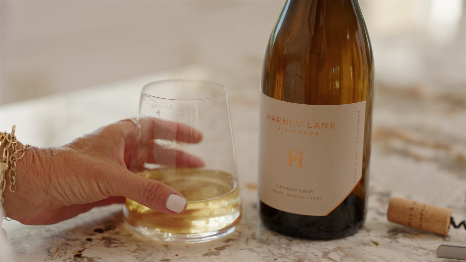 Finished video frame from the Harney Lane website film.