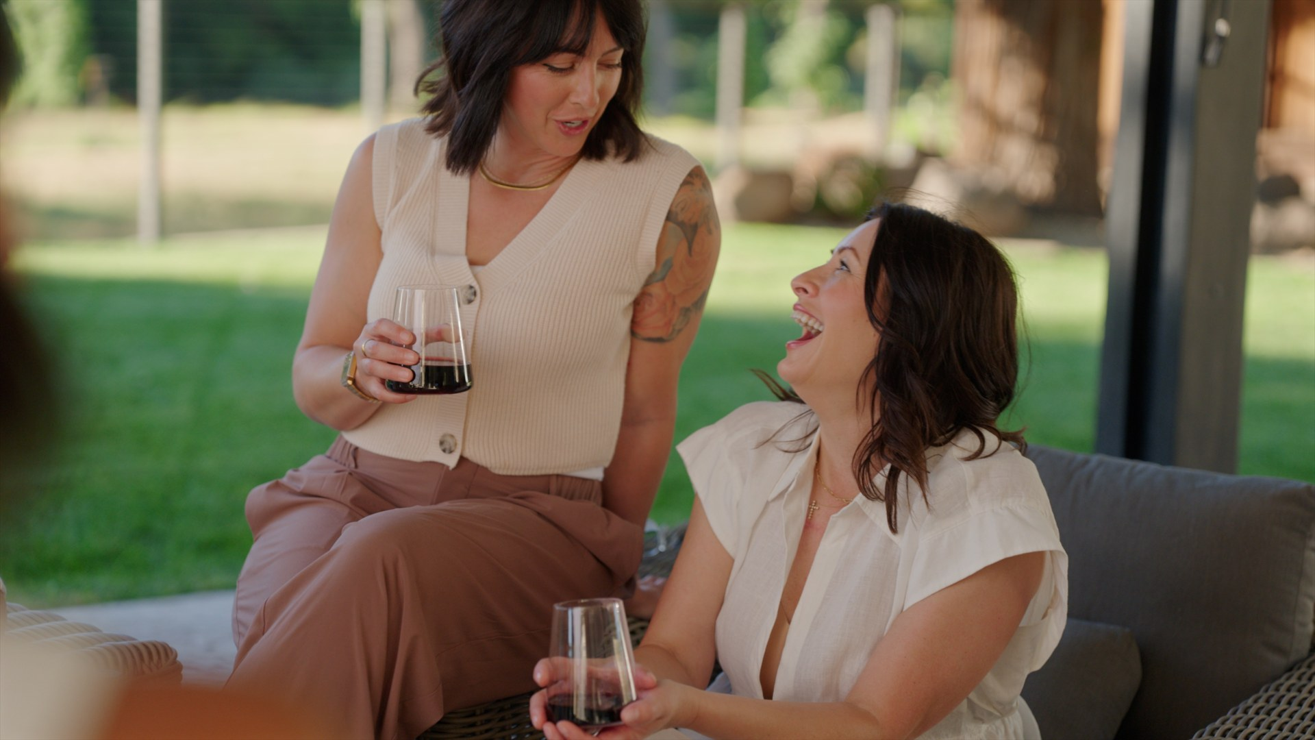 Finished video frame from the Harney Lane website film.