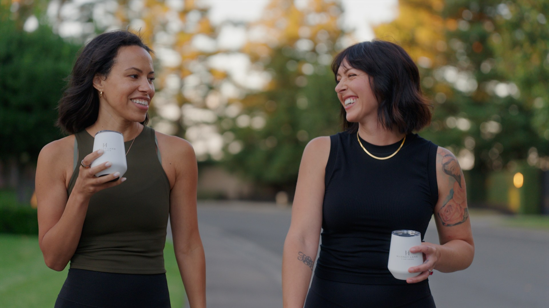 Finished video frame from the Harney Lane website film.