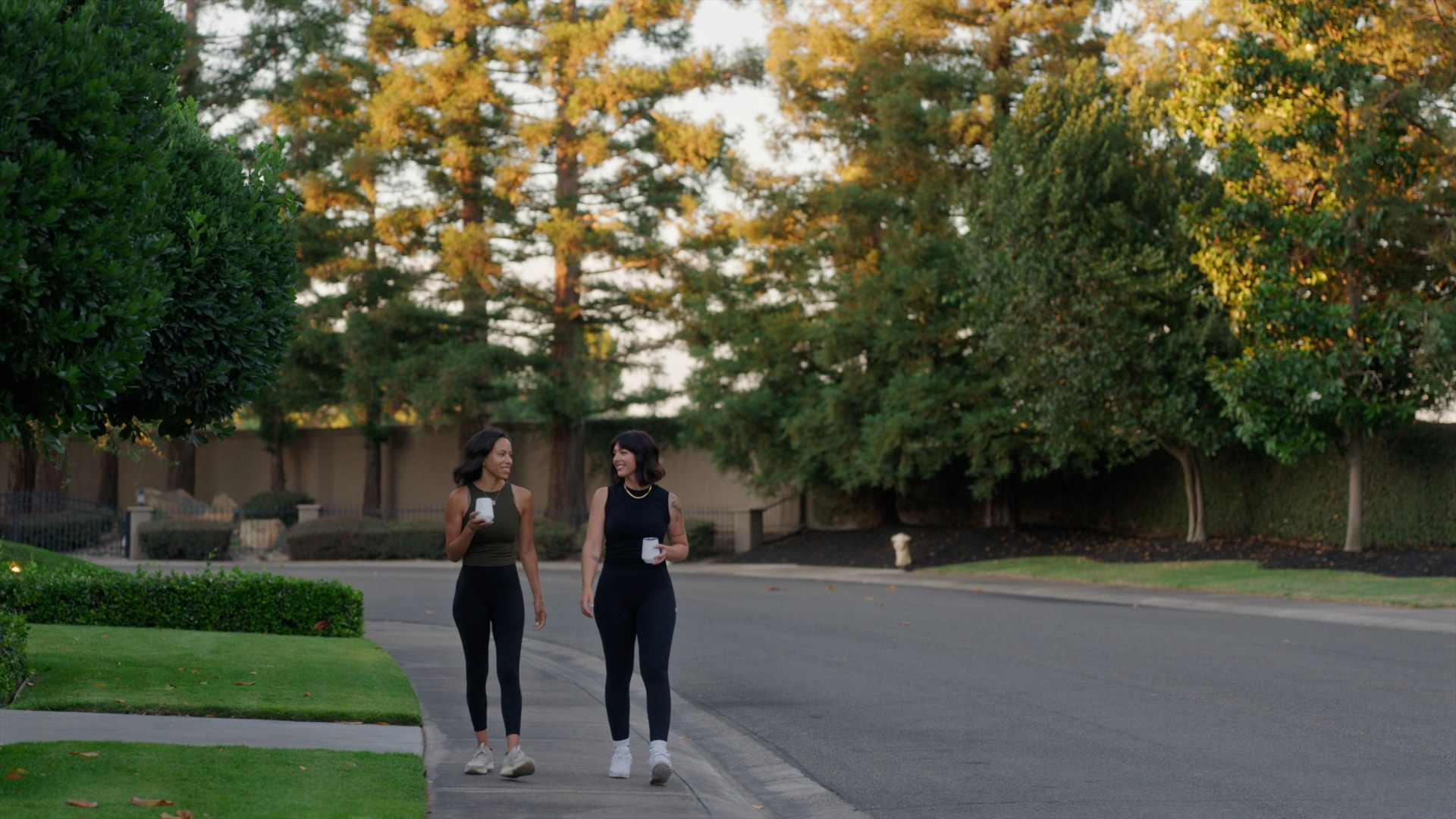 Finished video frame from the Harney Lane website film.