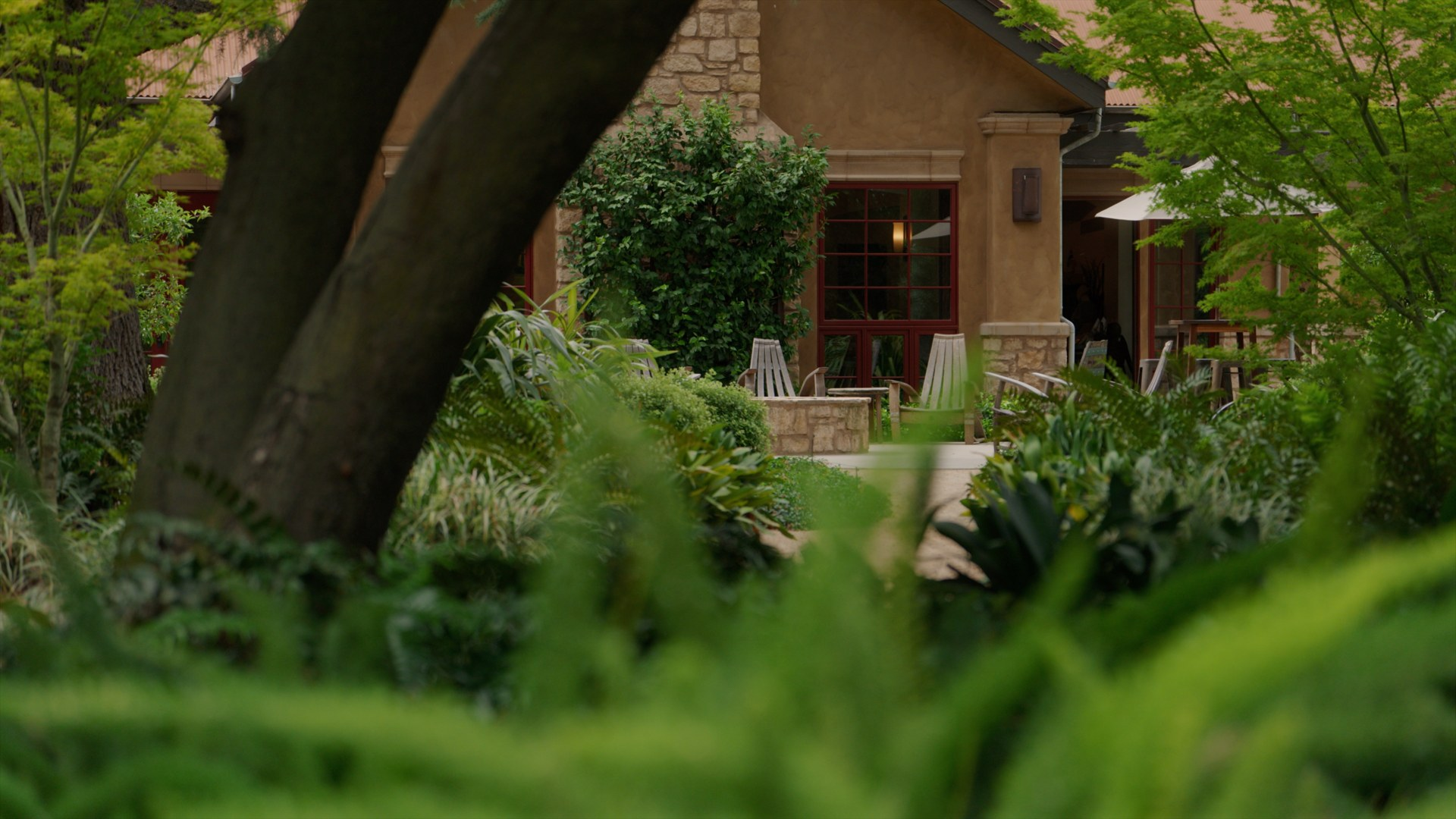 Finished video frame from the Harney Lane website film.