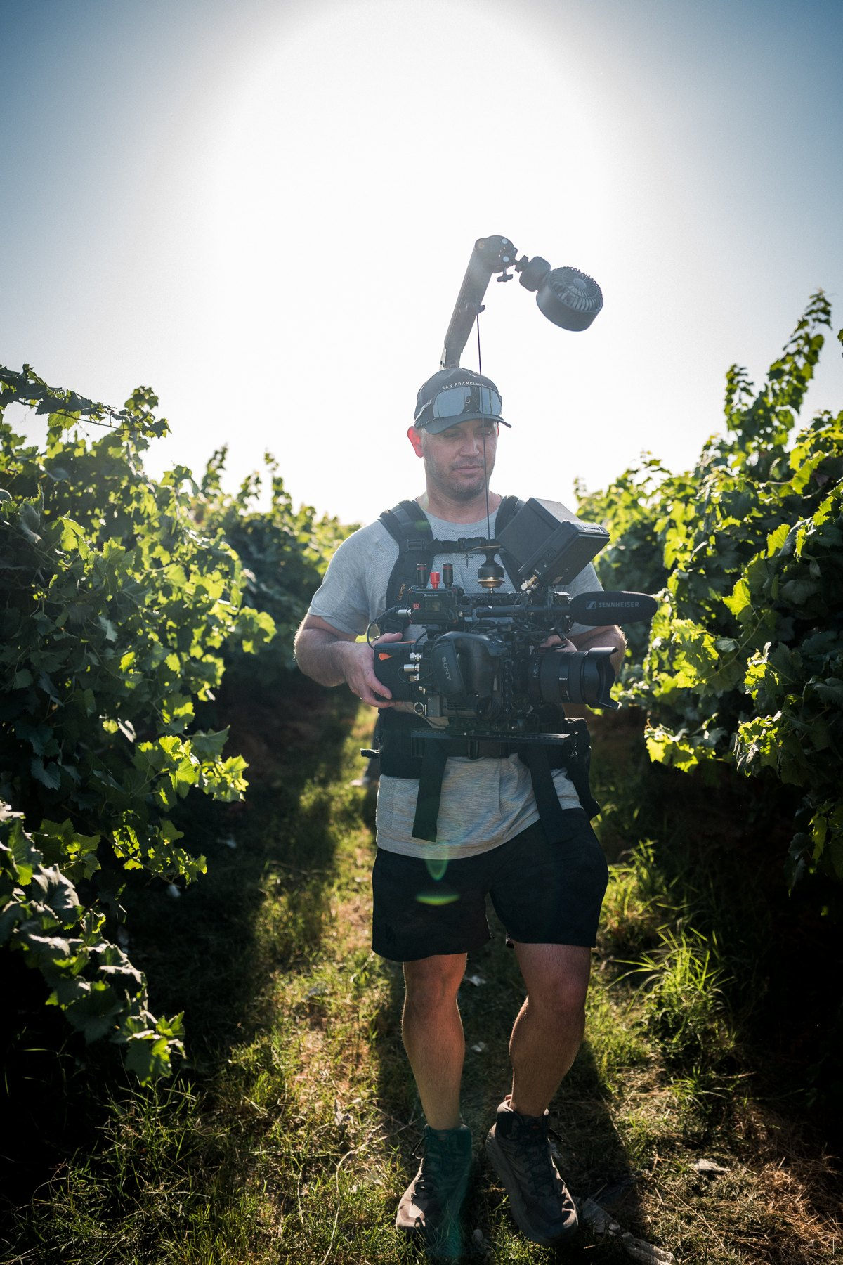 Camera operator carrying a supported BURANO in a vineyard