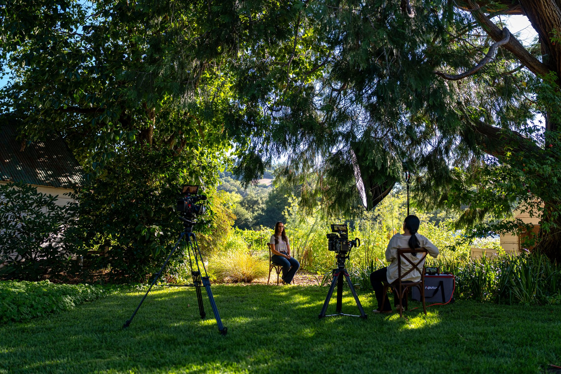 Two-camera interview beneath a large tree