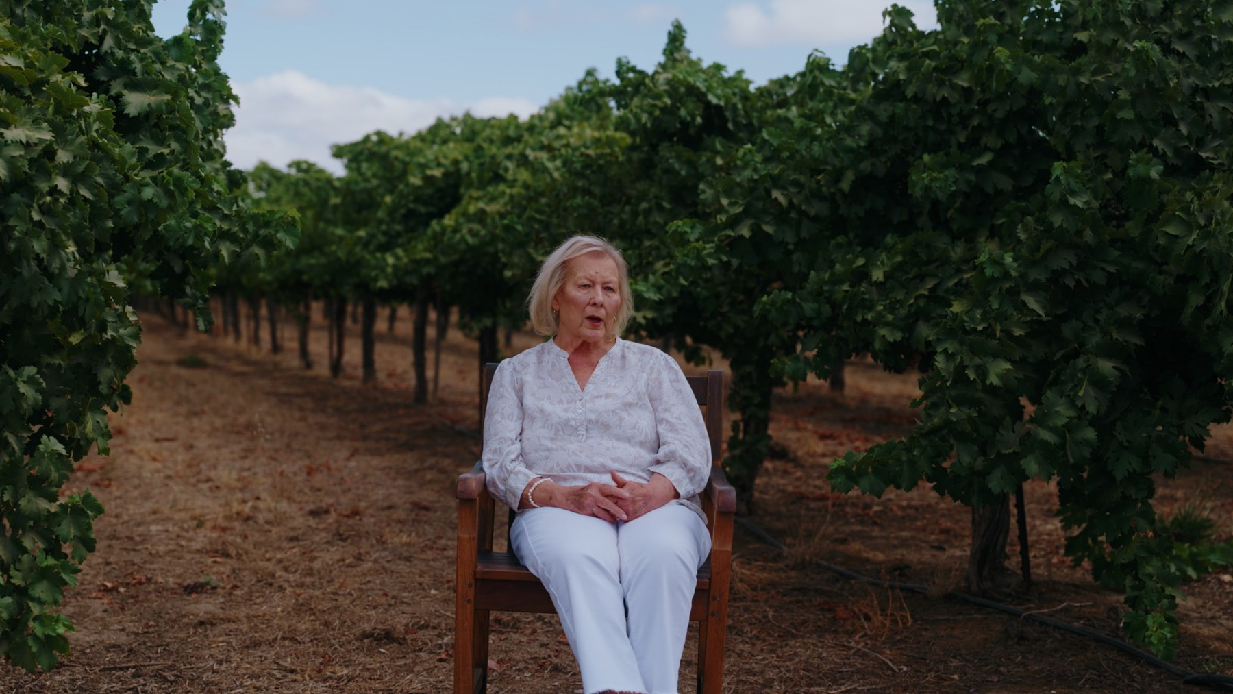 Outdoor interview with a seated subject framed between vineyard rows